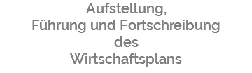 Aufstellung, Führung und Fortschreibung des Wirtschaftsplans