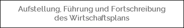  Aufstellung, Führung und Fortschreibung des Wirtschaftsplans
