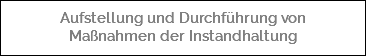  Aufstellung und Durchführung von Maßnahmen der Instandhaltung 