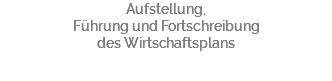 Aufstellung, Führung und Fortschreibung des Wirtschaftsplans